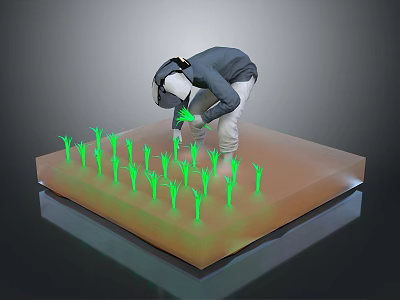 Person In Dark Jacket Tending To Green Seedlings On Rectangular Platform 3d model