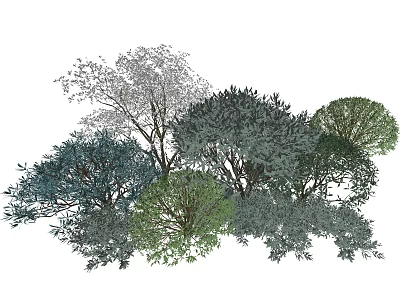 Diverse Plant Combination With Various Tree Species And Lush Green Foliage 3d model