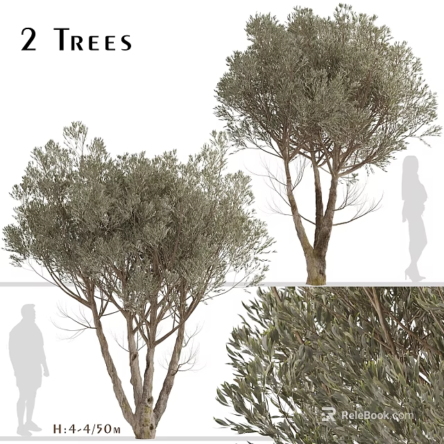 Decorative Tree Plant Ornament Set With Realistic Foliage For Home Interior Decor 3d model 