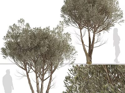 Decorative Tree Plant Ornament Set With Realistic Foliage For Home Interior Decor 3d model