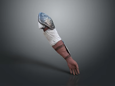 Metallic Detailed Arm Guard With White Fabric Base And Adjustable Leather Straps 3d model