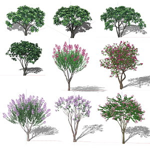 Modern Flower Tree 3d model