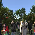 Scenic Garden Landscape Featuring Fruit Trees Palm Trees and People Enjoying Leisure Under Blue Sky