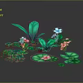 Colorful Plant Arrangement With Green Leaves Lily Pad Like Leaves Pink And Blue Small Flowers