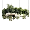Modern Hanging Chandelier Featuring Lush Green Plants And Decorative Black Frame