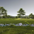 Scenic Microtopography Featuring Green Grass Trees Small Stream Stones And Distant Hills