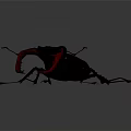 Modern beetle dung beetle chafer 3d model