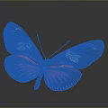 Vibrant Red and Black Butterfly Wings With White Spots and Intricate Patterns