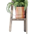 Bonsai Potted Plants On Wooden Ladder Shelf With Terra Cotta Pots And Ferns