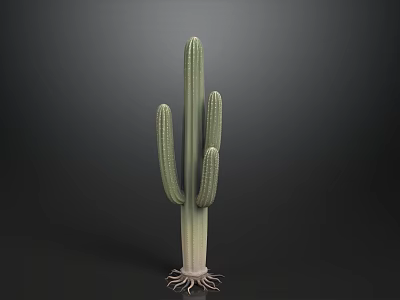 Green Cactus With Multiple Branches And Root System On Dark Background 3d model