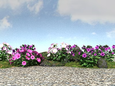 Blooming Purple White Flowers With Green Leaves Blue Sky White Clouds And Pebble Path 3d model