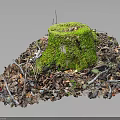 Rustic Wooden Stone Stump Decor With Green Moss Dry Twigs And Leaves
