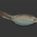 Unique Fish 3D Model With Streamlined Body Light Brown And Blue Colors
