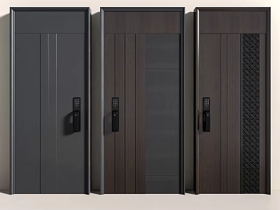 Modern Security Doors With Various Dark Colored Textured Panels And Electronic Locks 3d model
