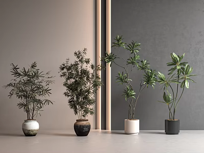 Various Bonsai Plants with Different Leaf Shapes in Stylish Pots for Modern Interior 3d model