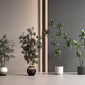 Various Bonsai Plants with Different Leaf Shapes in Stylish Pots for Modern Interior