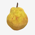 Fresh Ripe Pear with Yellowish Brown Skin Red Spots and Classic Pear Shape