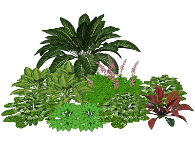 Diverse Plant Combination with Large Leaf Plants Purple Flowers and Mixed Foliage 3d model