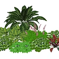 Diverse Plant Combination with Large Leaf Plants Purple Flowers and Mixed Foliage