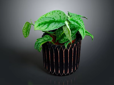 Variegated Green Plant in Black Pot with Copper Stripes on Dark Background 3d model