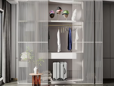 Modern Wardrobe Interior Design With Open Hanging Space Shelves And Decorative Accents 3d model