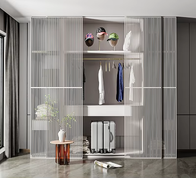 Modern Wardrobe Interior Design With Open Hanging Space Shelves And Decorative Accents 3d model