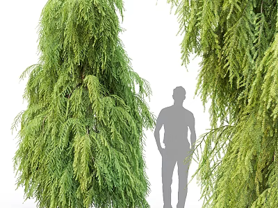 Lush Weeping Green Plants Surrounding Silhouette Of People Garden Feature 3d model