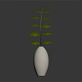 Green Leaf Plant With Slender Stem In White Hexagonal Textured Vase On Dark Background