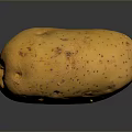 Fresh Single Yellow Potato with Brown Spots on Black Background 3d model