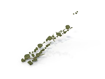 Green Vine Plant With Curved Stems And Small Leaves On White Background 3d model
