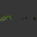 Hanging Green Vines With Dense Leafy Foliage For Indoor Decoration