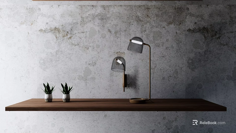 Modern Lighting Combination With Wooden Shelf Small Green Plants And Gray Textured Wall 3d model 