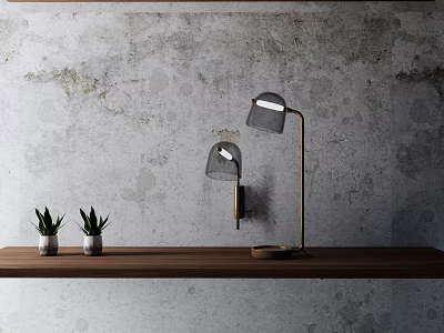 Modern Lighting Combination With Wooden Shelf Small Green Plants And Gray Textured Wall 3d model
