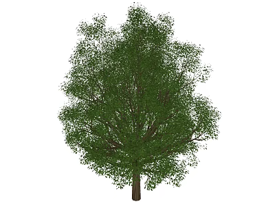 Lush Green Arbor With Dense Foliage And Brown Trunk In Natural Landscape 3d model
