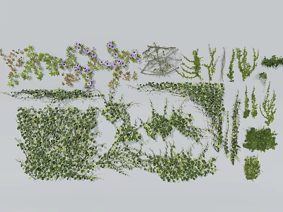 Various Green Vines And Plants With Purple Flowers And Foliage 3d model