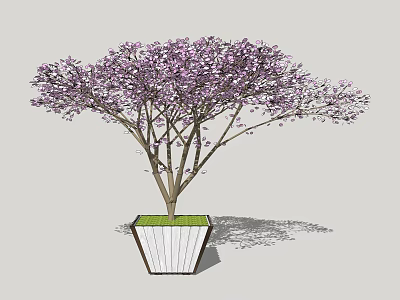 White Wooden Tree Planter With Purple Flowering Tree And Green Base 3d model