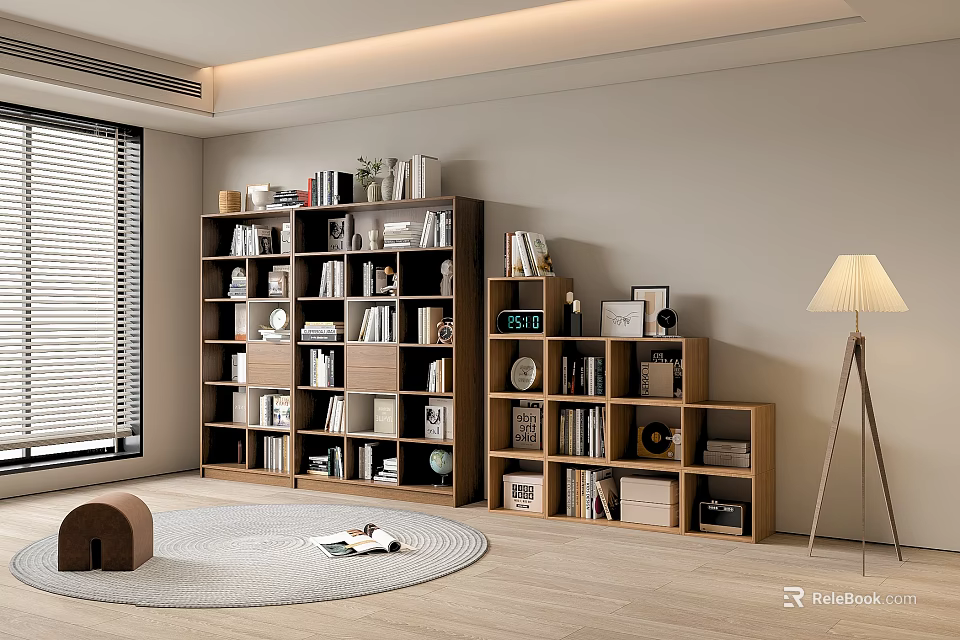 Modern Living Room Bookcase with Books Decorations Photo Frames Round Rug and Floor Lamp 3d model 