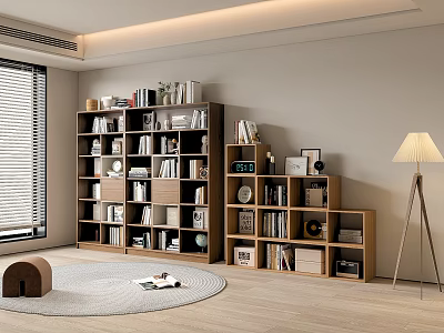 Modern Living Room Bookcase with Books Decorations Photo Frames Round Rug and Floor Lamp 3d model