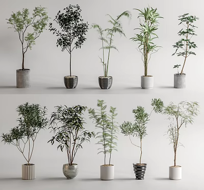 Modern Bonsai Plants Collection Featuring Various Species And Stylish Decorative Pots 3d model