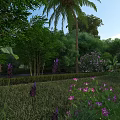 Vibrant Garden Landscape With Lush Green Plants Palm Tree And Colorful Flowers