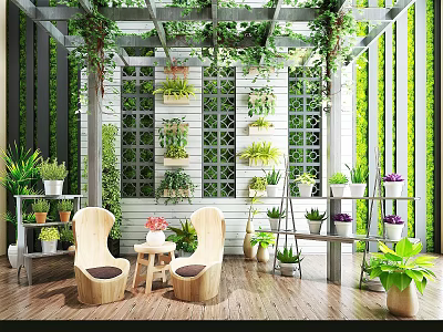 Bonsai Potted Plants Indoor Display With Shelves Greenery And Wooden Furniture 3d model