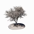 The Modern Tree 3d model
