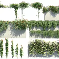 Climbing Decorative Vines With Green Leaves And Floral Accents On Wall And Frame Structures