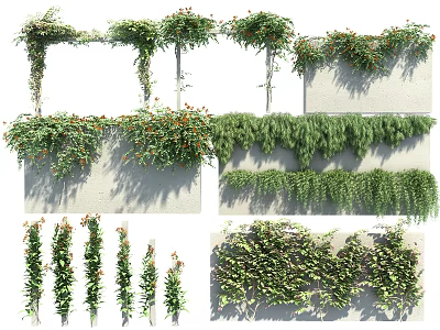 Climbing Decorative Vines With Green Leaves And Floral Accents On Wall And Frame Structures 3d model