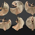 Woman Dancing in Pink Long Dress with Multiple Poses Against Black Background and Flowing Skirt