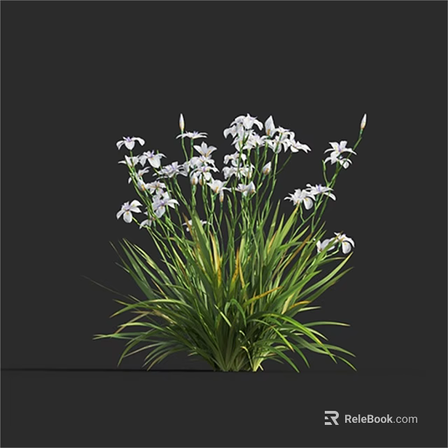 Natural Garden Plants With Delicate White Flowers And Long Green Grass 3d model 