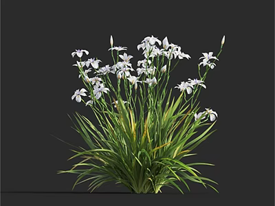 Natural Garden Plants With Delicate White Flowers And Long Green Grass 3d model