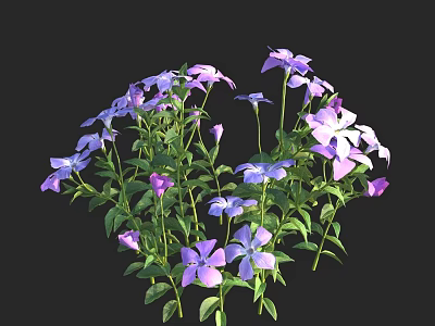 Blooming Purple and Blue Flowers with Green Leaves in Lush Natural Clusters 3d model