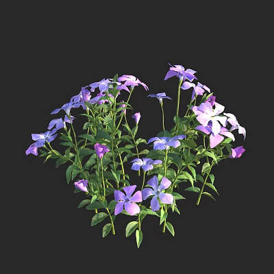 Blooming Purple and Blue Flowers with Green Leaves in Lush Natural Clusters 3d model