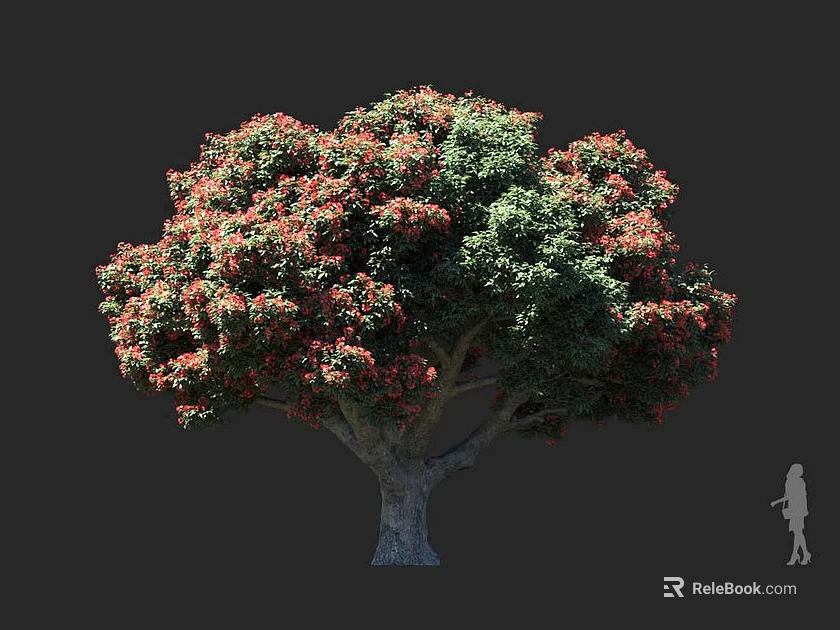 Tall Tree With Red And Green Leaves Lush Canopy Thick Trunk And Human Figure 3d model 